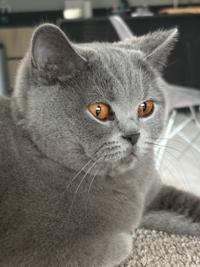Photo de Vanina